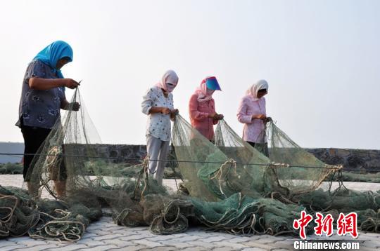 河北沧州渤海湾“新渔民”：守望大港怀念贝壳堤