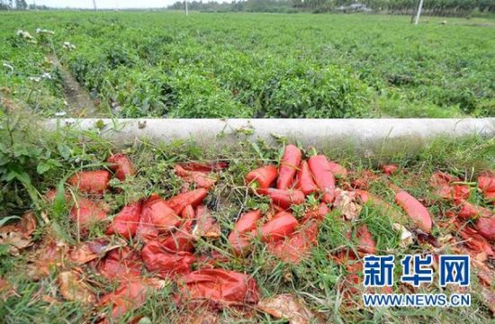 产地“菜贱伤农” 销地“菜价倍增”——卖难买贵顽疾再次凸显
