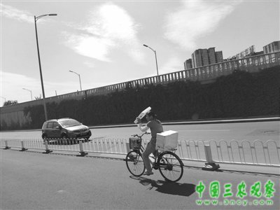 我国迎今夏最大范围高温天气 12省市气温达35℃