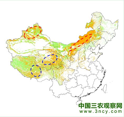 图2 2014年9月中旬草原枯黄状况