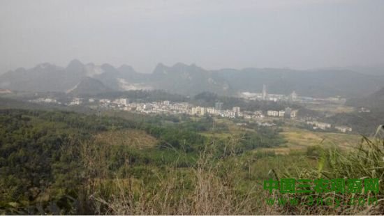 翁源铁龙林场突发群体性疾病,官方称是总大肠杆菌超标所致,医检检出15儿童血铅超标 翁源铁龙林场突发群体性疾病,官方称是总大肠杆菌超标所致,医检检出15儿童血铅超标