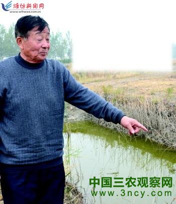 寿光71岁老汉种稻养虾 玩转立体农业