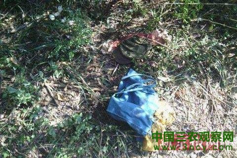 点击进入下一页 点击进入下一页