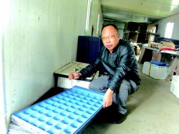 四川遵道镇：“青蛙王子”的青蛙去哪儿了？