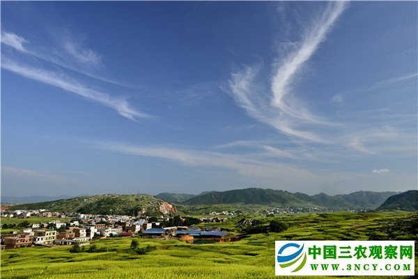 【问答神州-图文】【CHINANEWS-列表】湖南省祁东县委书记杜登峰：布局“五个祁东” 助推祁东跨越发展