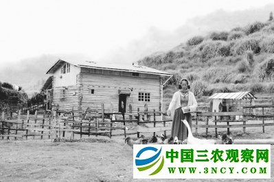 【福建好故事列表】【宁德】【移动版】寿宁：“灰姑娘”深山里 建起“童话小屋”