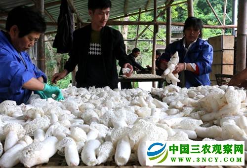 图片默认标题_fororder_A