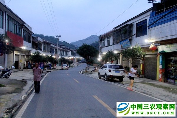 新安装的路灯夜间亮起来了.jpg