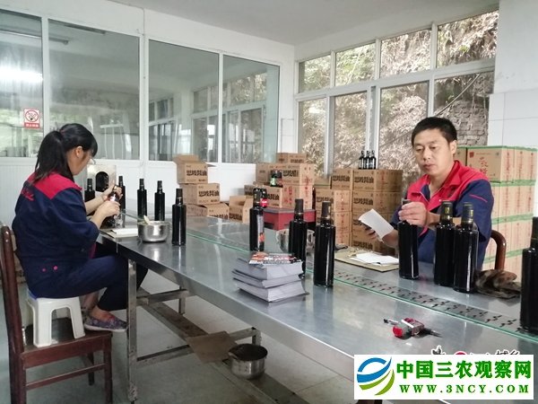 1562028074945623.jpg 思坡醋厂内,工人正在包装(摄影 赵晨希).jpg