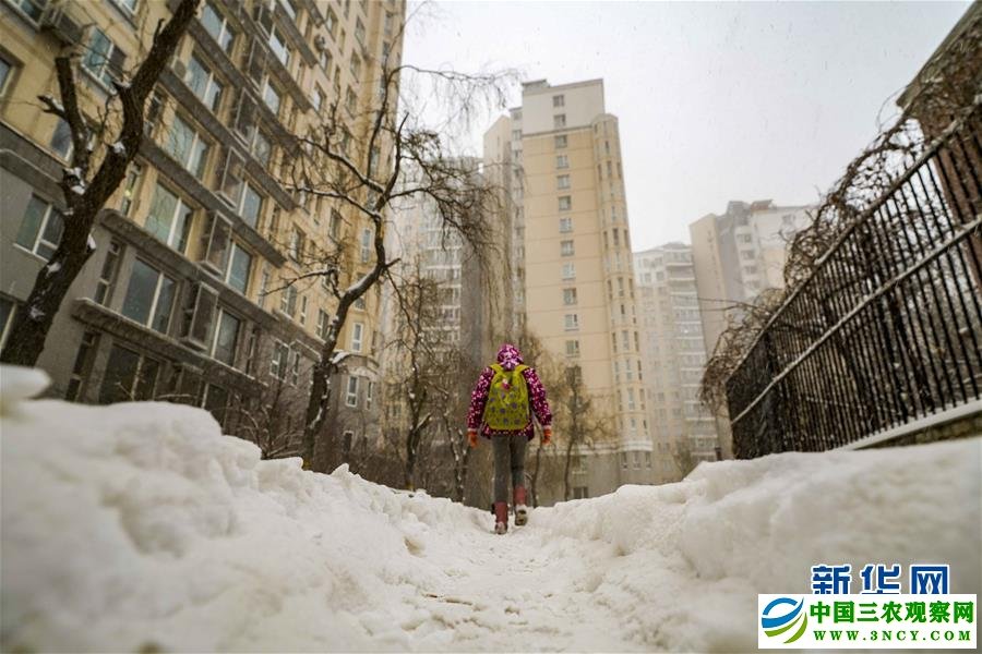 （环境）（1）乌鲁木齐迎来降雪