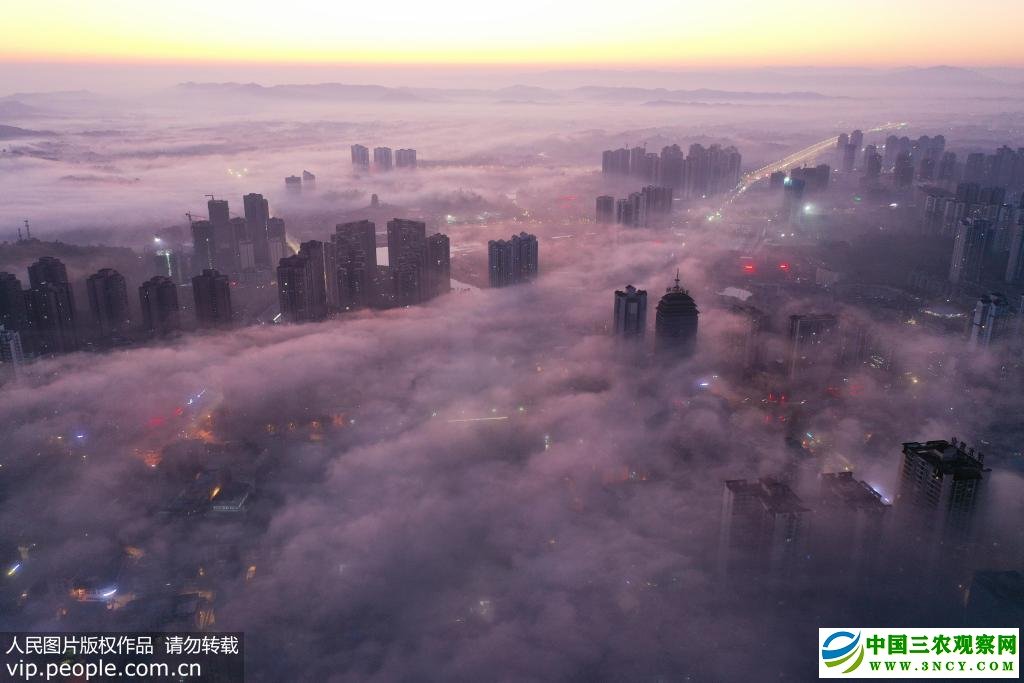 重庆市大足城区出现平流雾景观