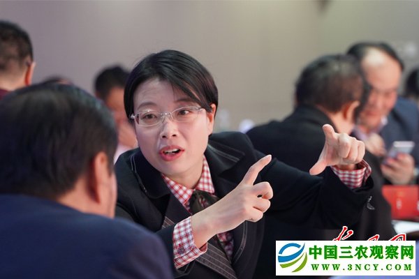 “我家的故事”-庆祝新中国成立70周年短视频征集展示活动专家评审会召开