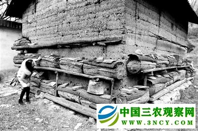 网店店主成人大代表:带动更多人通过电商脱贫致富