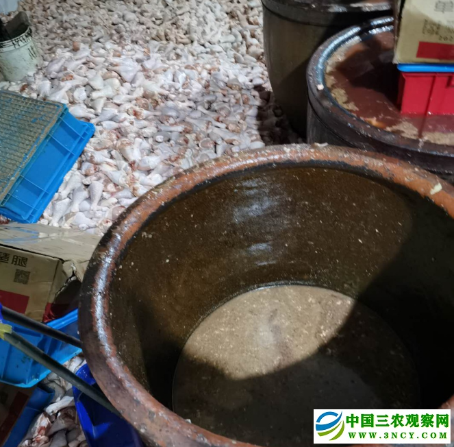 //ruanwen.miao98.com/Upload/59/1588729886018.docx_html_537bf027.png插图(1)