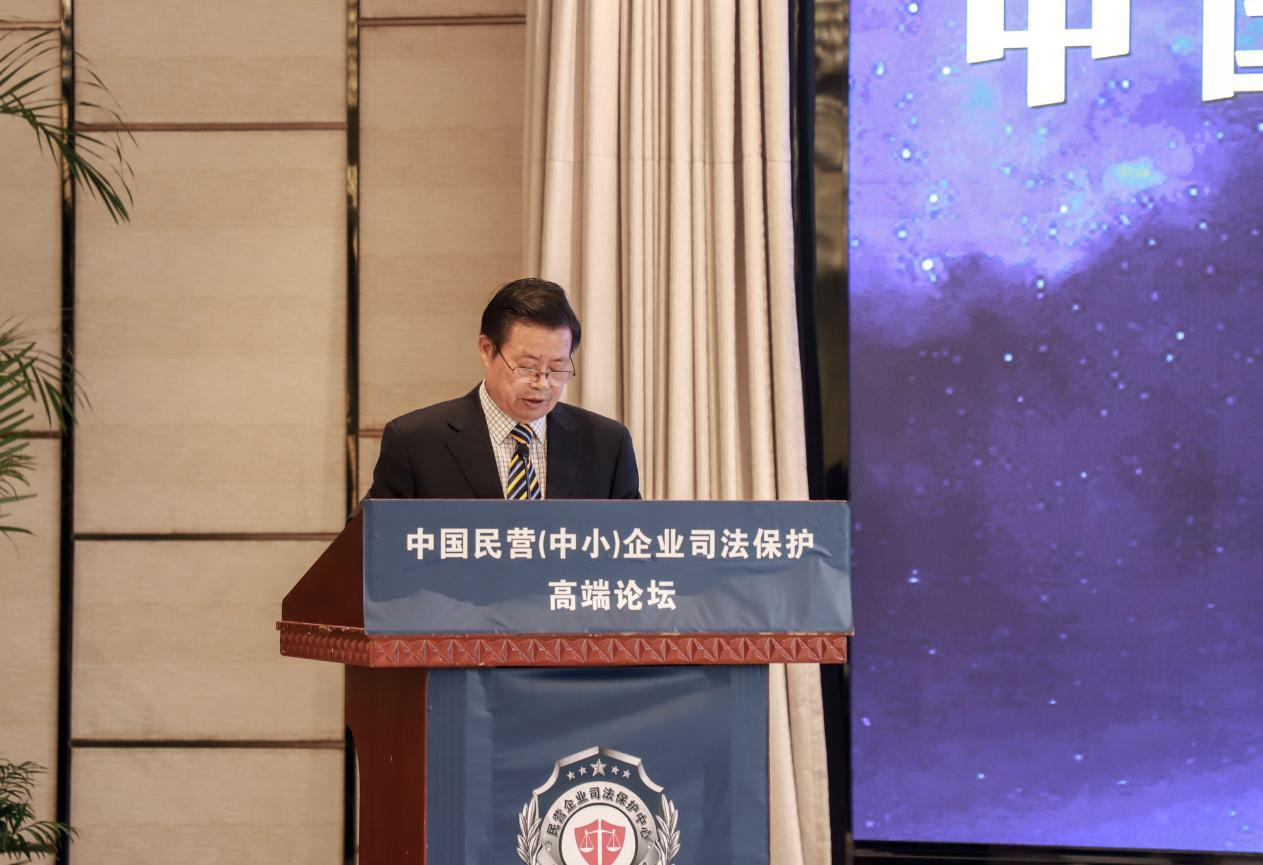 中国民营中小企业司法保护高端论坛务实创新