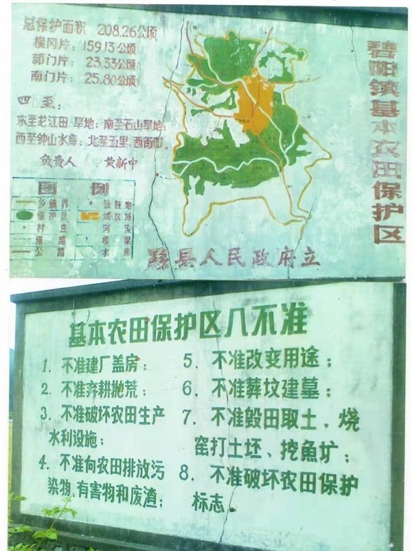 基本农田