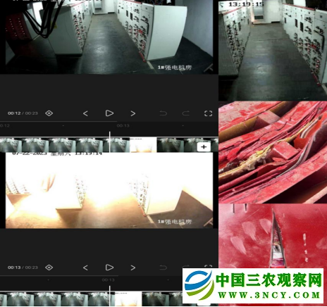 微信图片_20250102182841.png