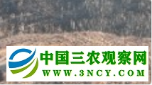 微信图片_20250105120045.png