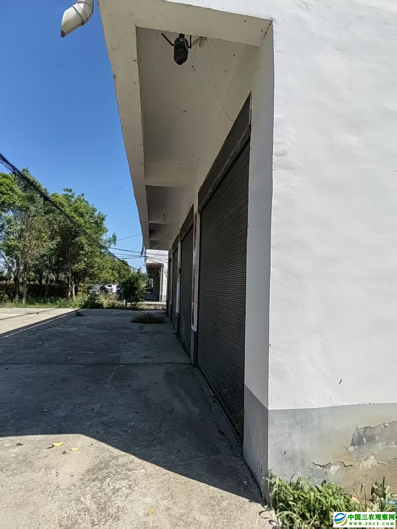 d3a52a74758f90372fd1e5a379447b10.jpg